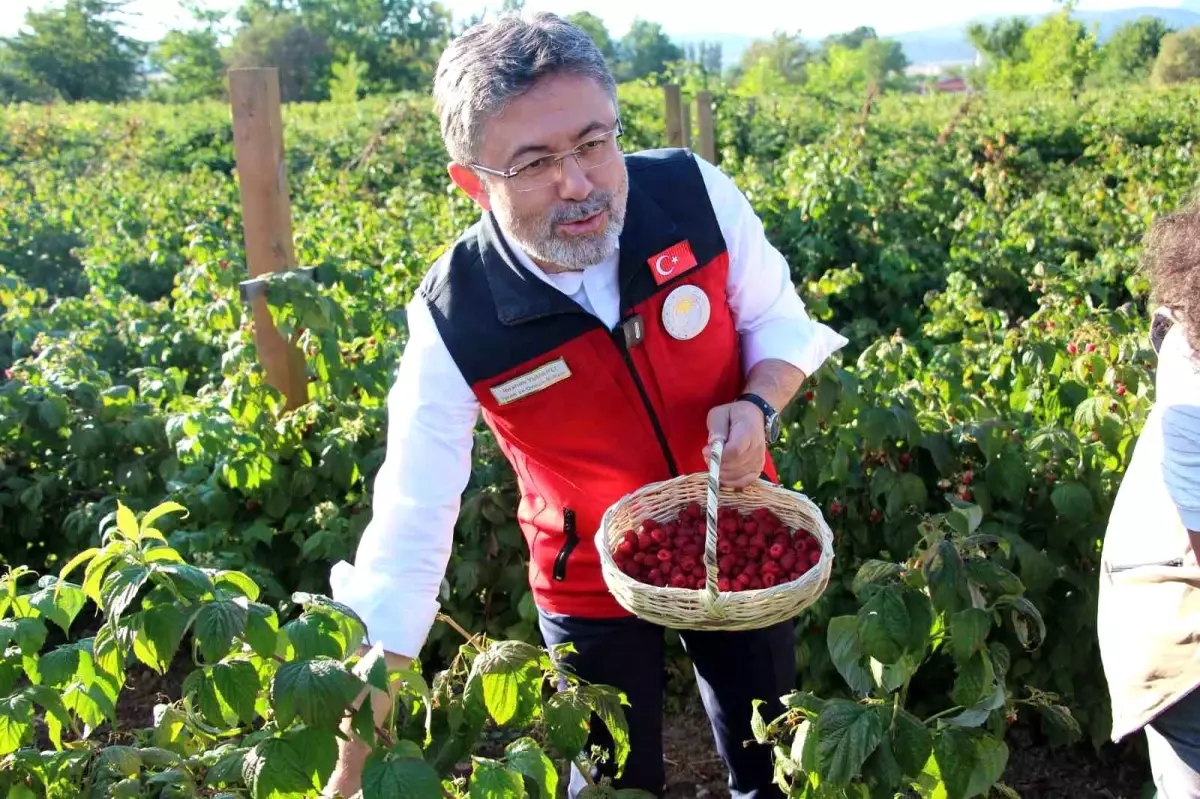 Genç Çiftçilerle Tarımda Yeni Dönem