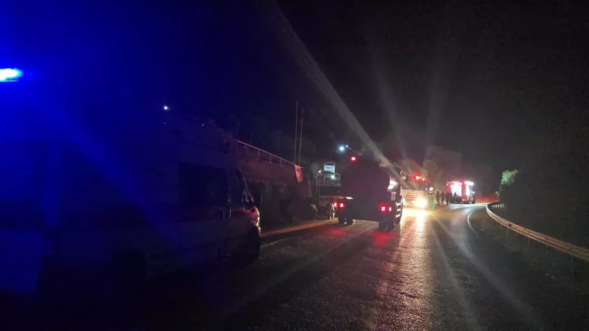 Mudanya\'da Anız Yangını Kontrol Altına Alındı
