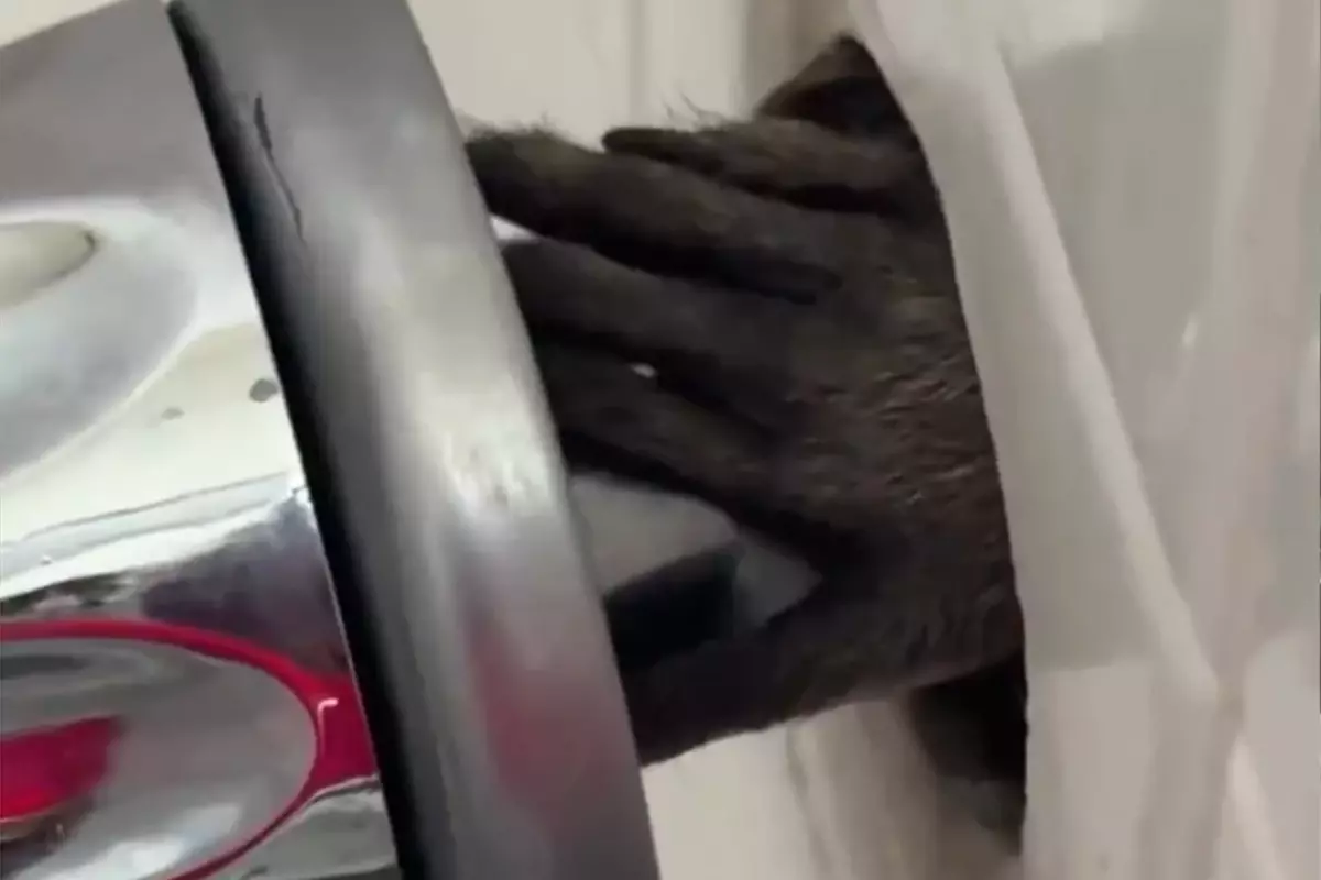 Otel banyosunda korku filmlerini aratmayan manzara