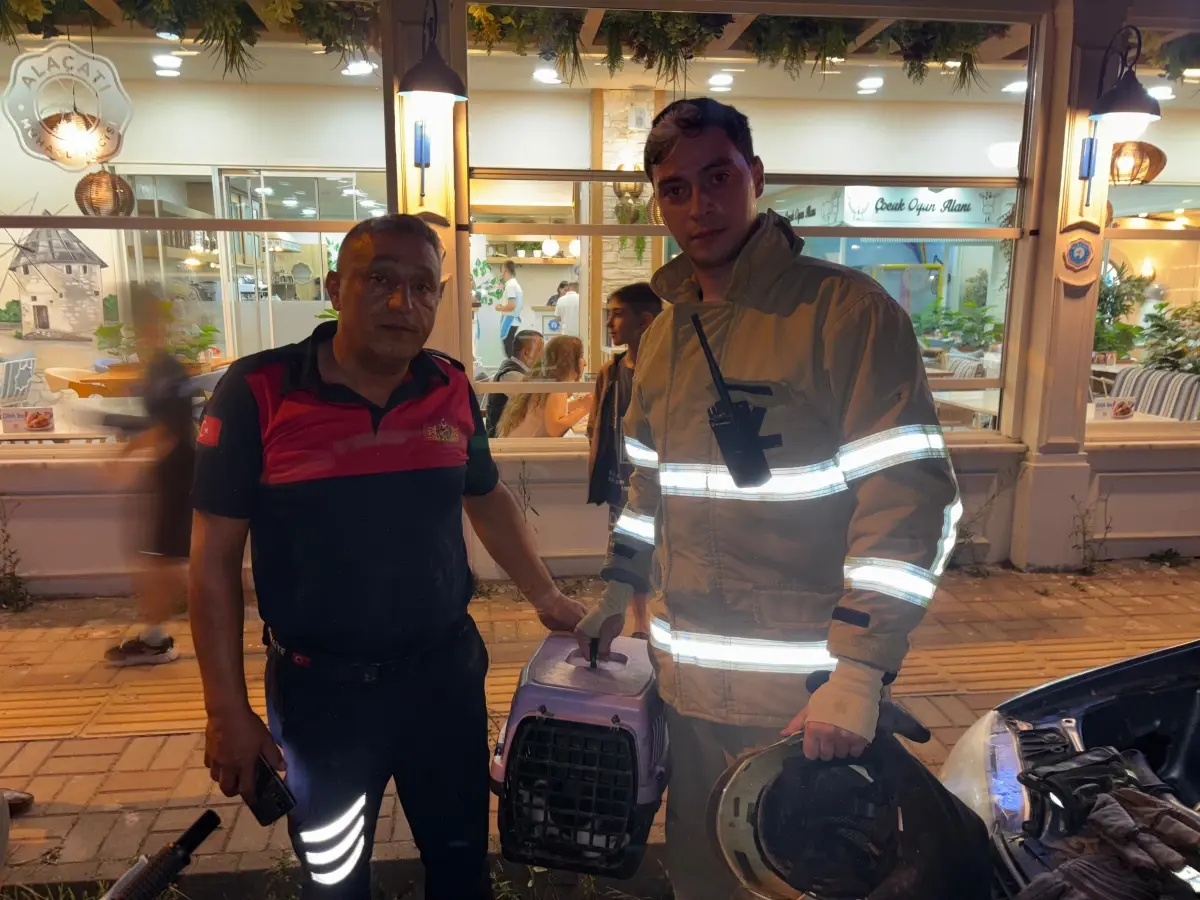 Otomobilin Motoruna Sıkışan Kedi Kurtarıldı