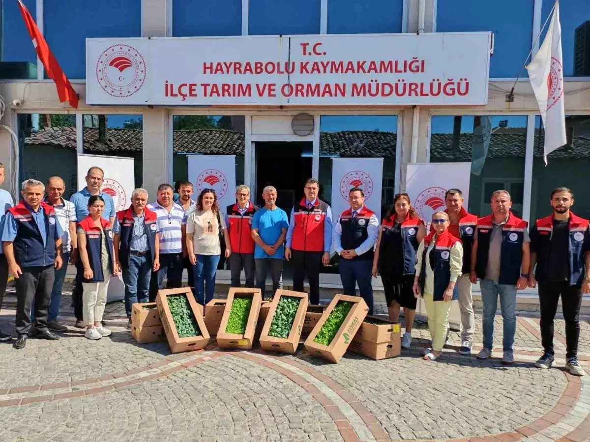 Hayrabolu\'ya 212 Bin Kışlık Fide Dağıtımı