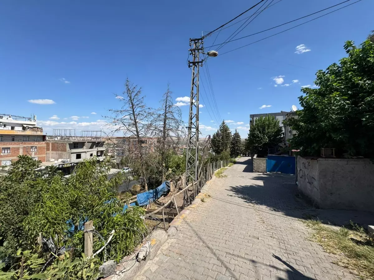 22 yaşındaki genç keçiye dokunduğu an elektrik akımına kapılarak hayatını kaybetti
