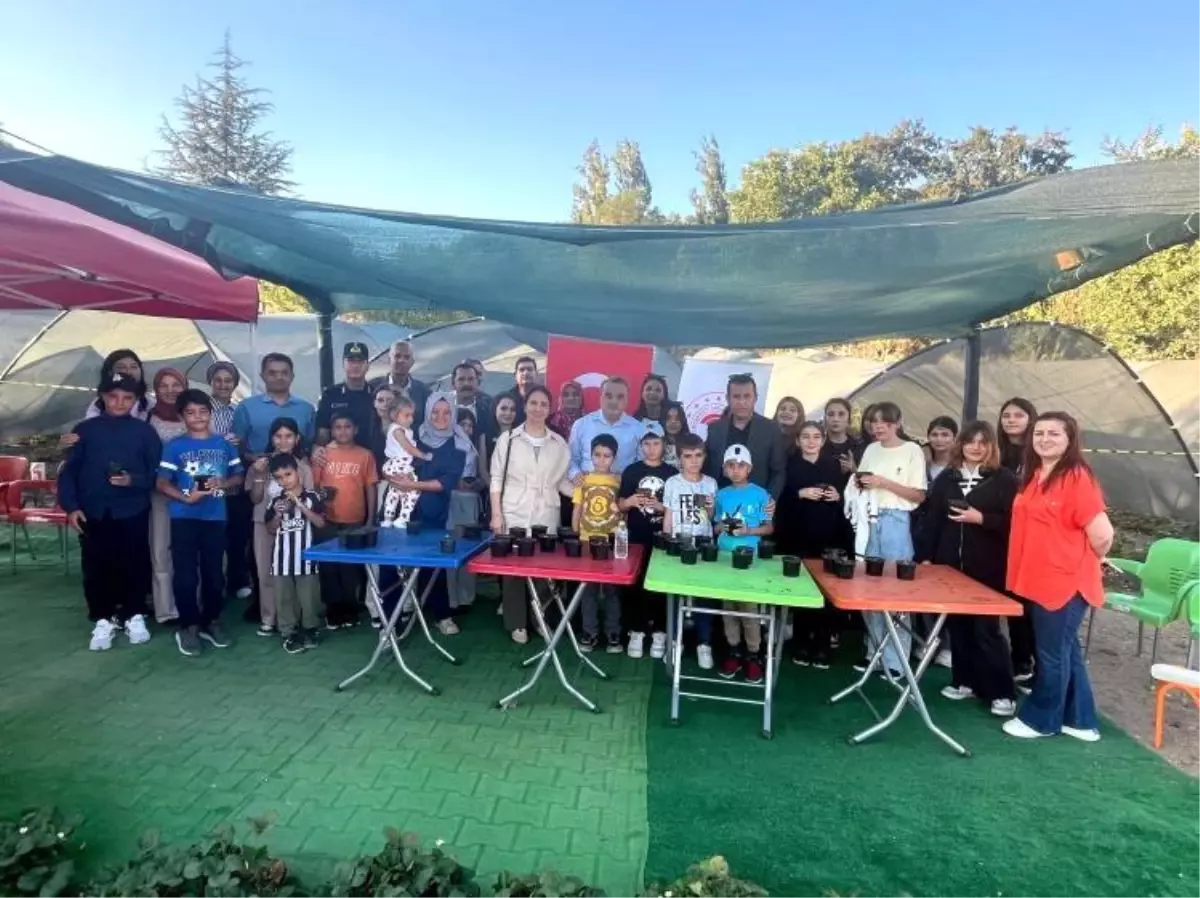 Bozüyük\'te Öğrenciler Fide Dikti