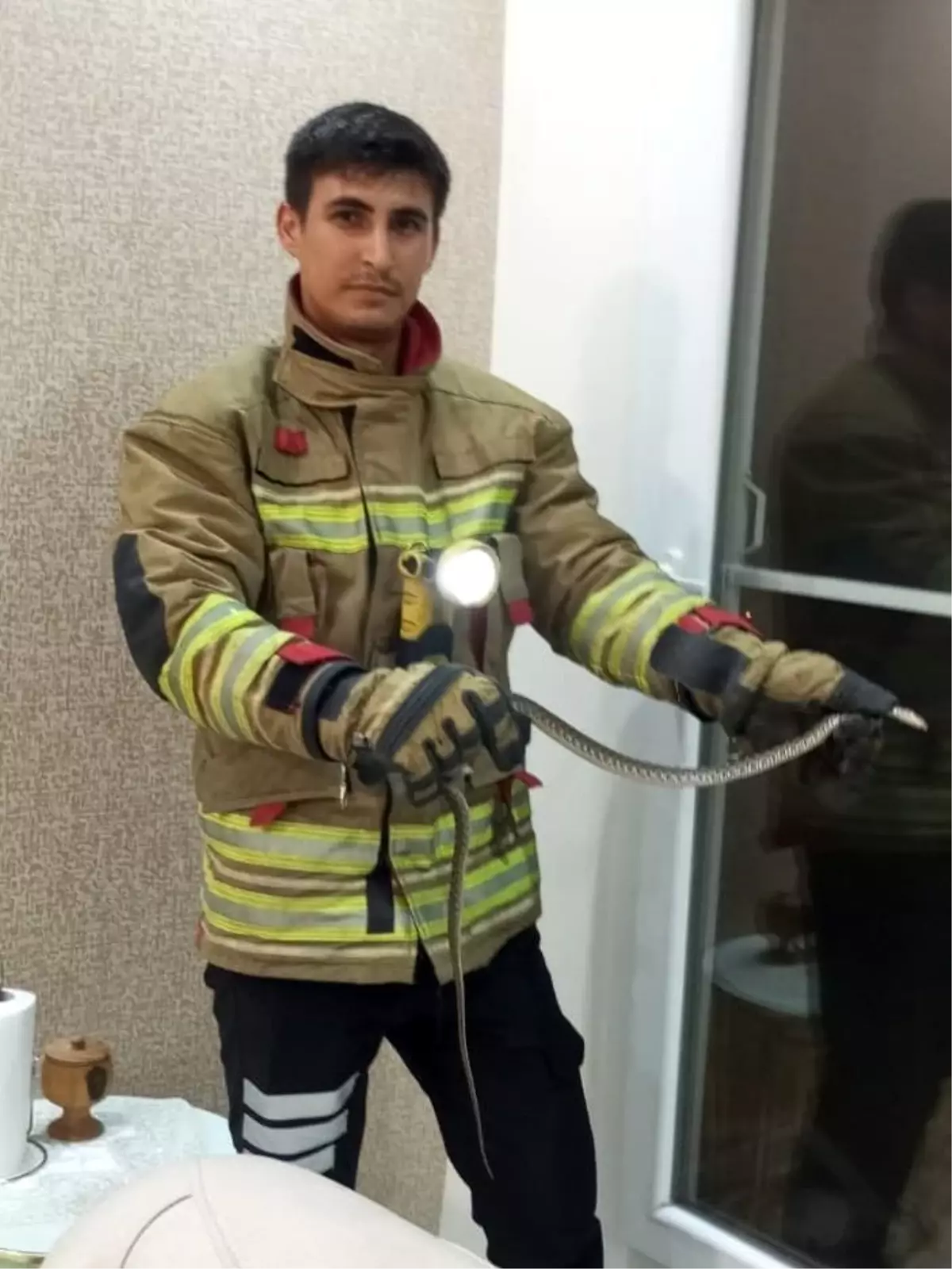Hatay\'da 2 Yılan Evden Çıkarıldı