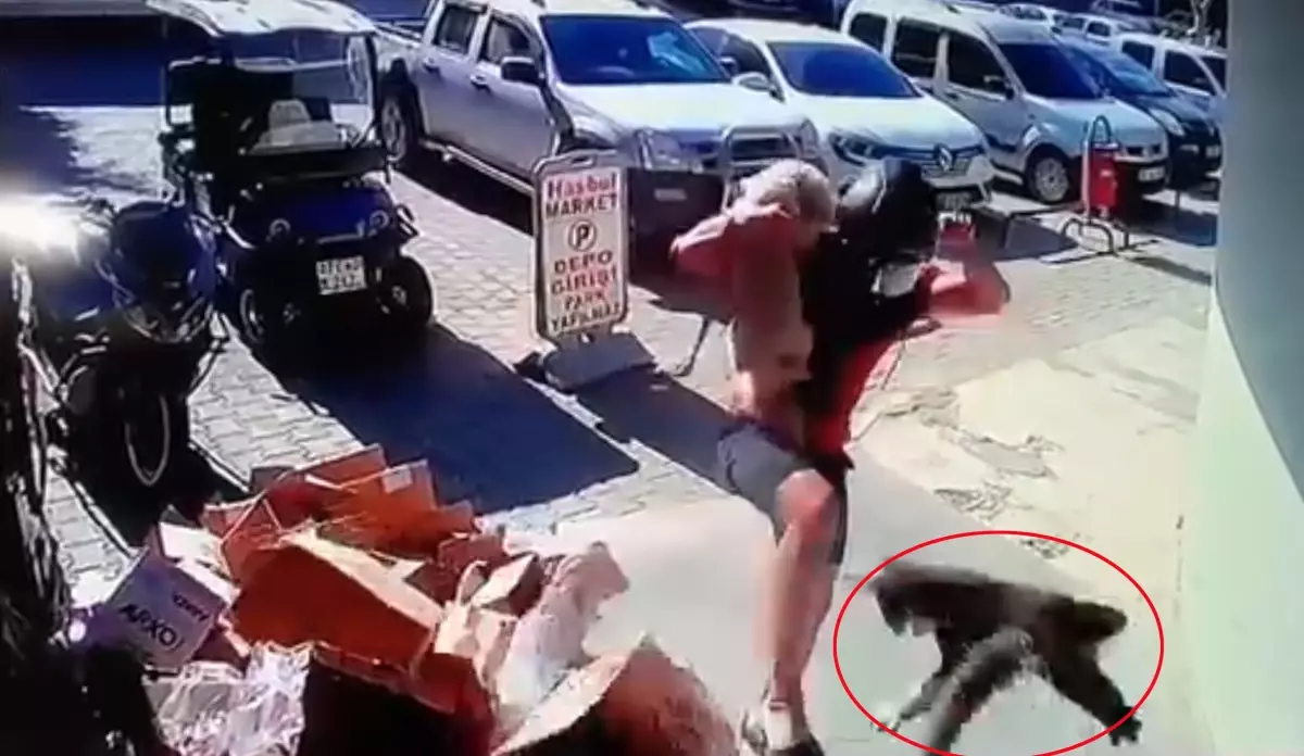 Kediye Şiddet Uygulayan Genç Tutuklandı