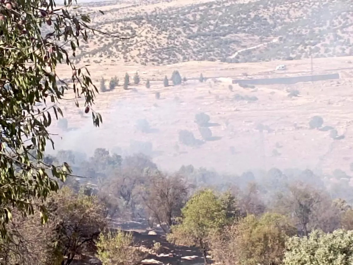 Mardin\'de Orman Yangını Kontrol Altına Alındı