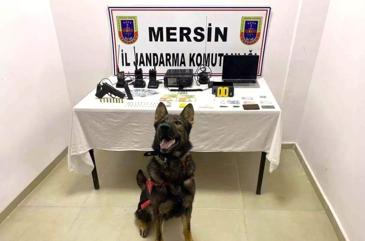 Mersin\'de Uyuşturucu Operasyonu: 1 Şahıs Tutuklandı