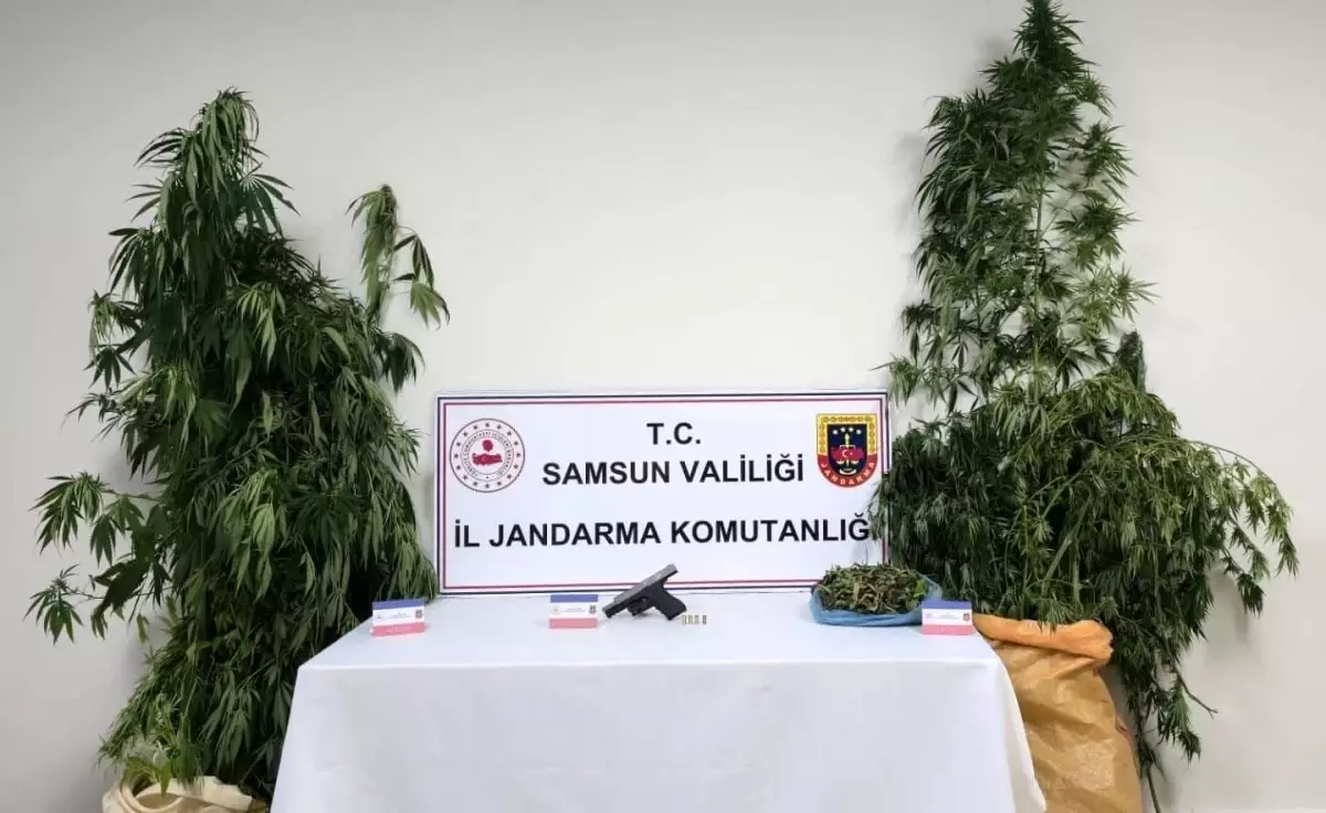 Samsun\'da Uyuşturucu Operasyonu