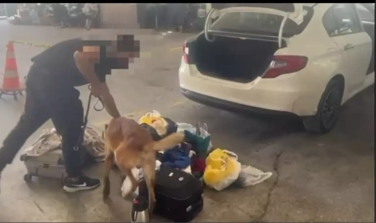 Van\'da Sahte Döviz ve Uyuşturucu Operasyonu