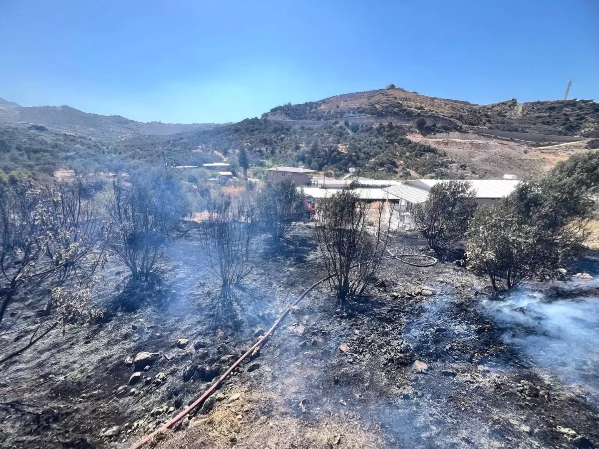 Antakya\'da Bahçede Yangın Kontrol Altına Alındı