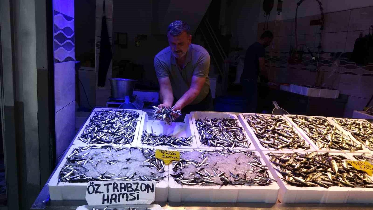 Hamsi Fiyatları Düşüyor, Tezgahlar Şenleniyor