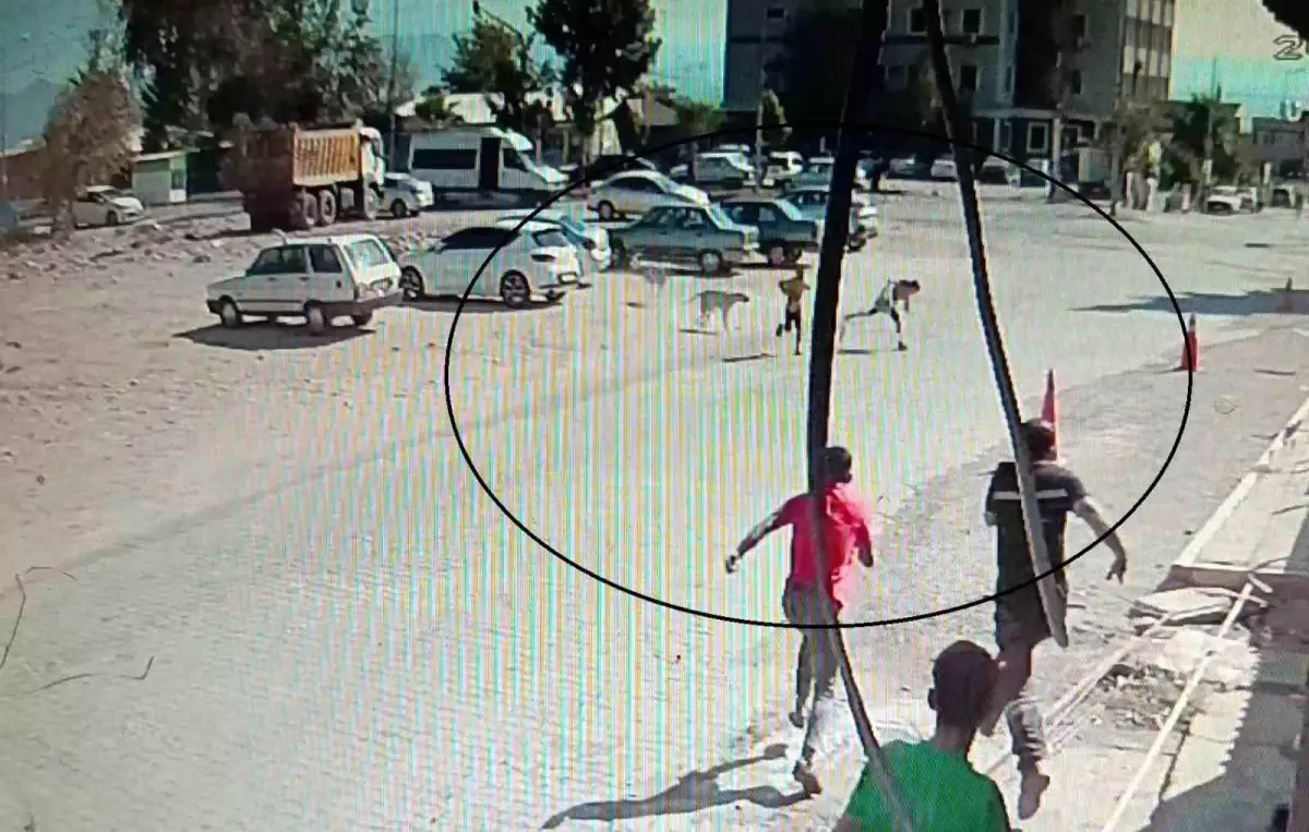 Hatay\'da Sokak Köpeklerinin Çocuklara Saldırısı Güvenlik Kamerasında