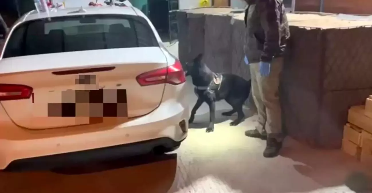 Samsun\'da Narkotik Köpeği Tony Uyuşturucu Buldu