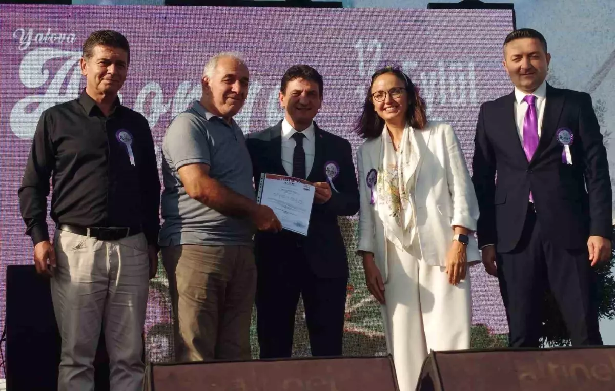 Yalova Aronya Festivali Renkli Görüntülerle Başladı