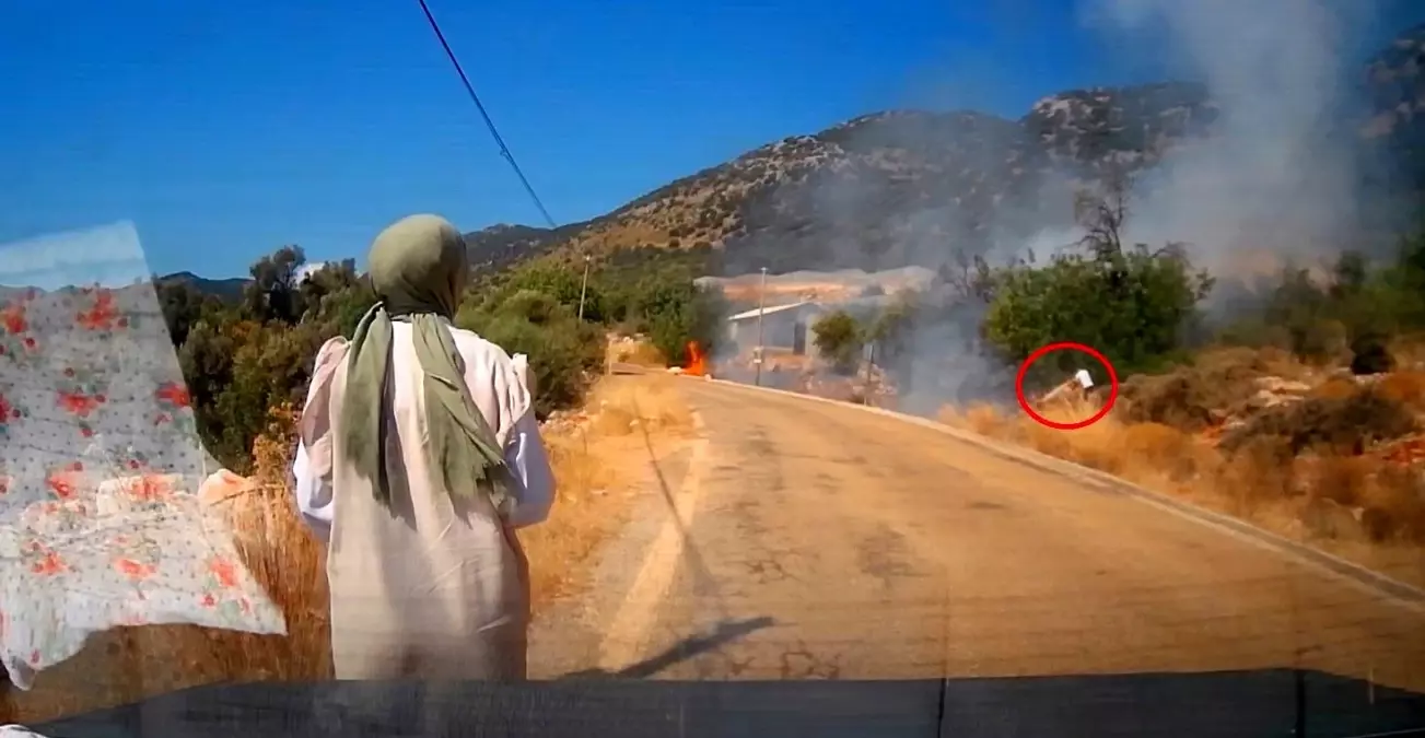 Kaş\'ta Yangın Tatilciler Tarafından Söndürüldü