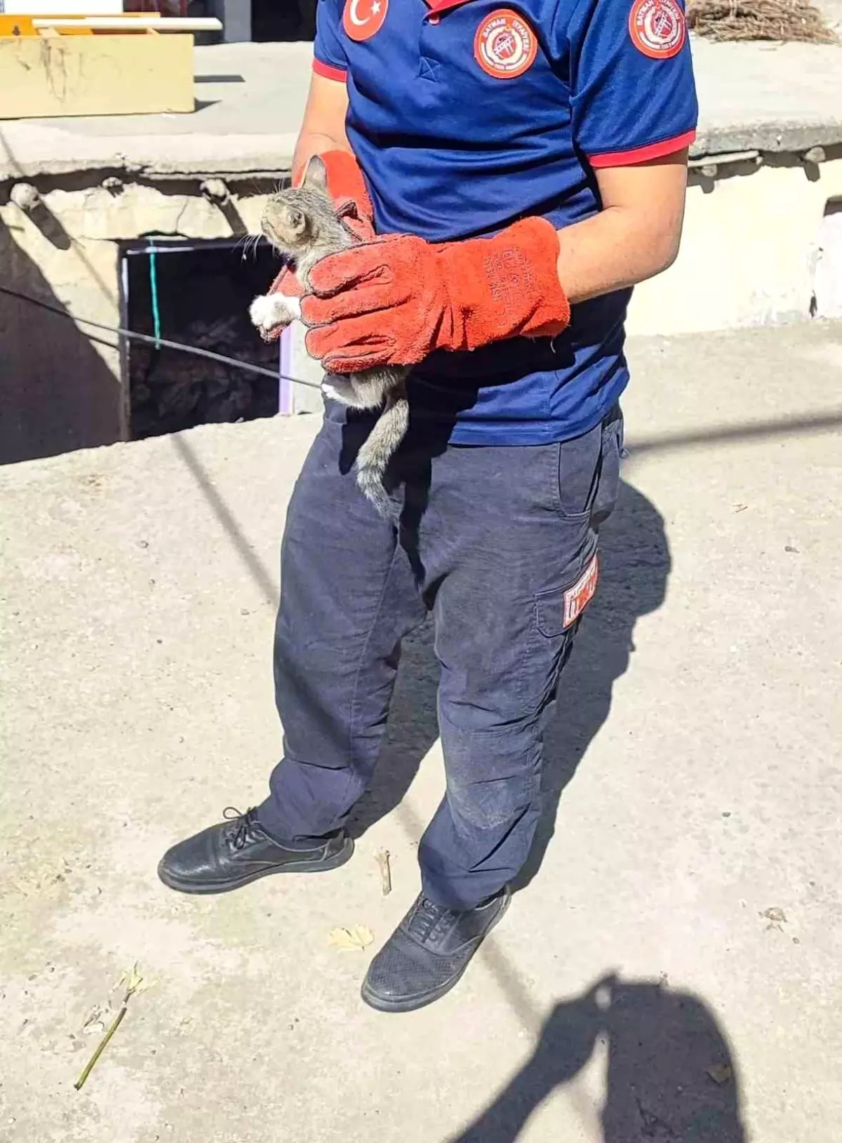 Batman\'da Sıkışan Kedi Kurtarıldı