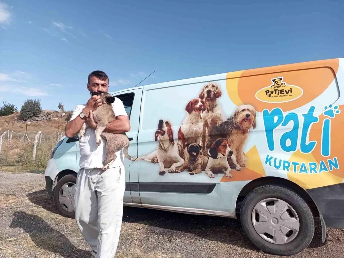 Talas\'da Minik Köpek 8 Metre Derinlikten Kurtarıldı