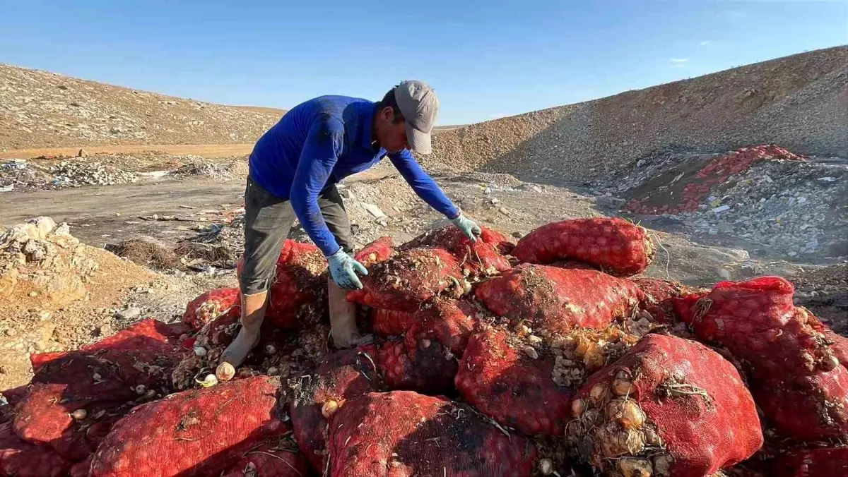 Karaman\'da Dökülen Soğanlar Tepki Çekti