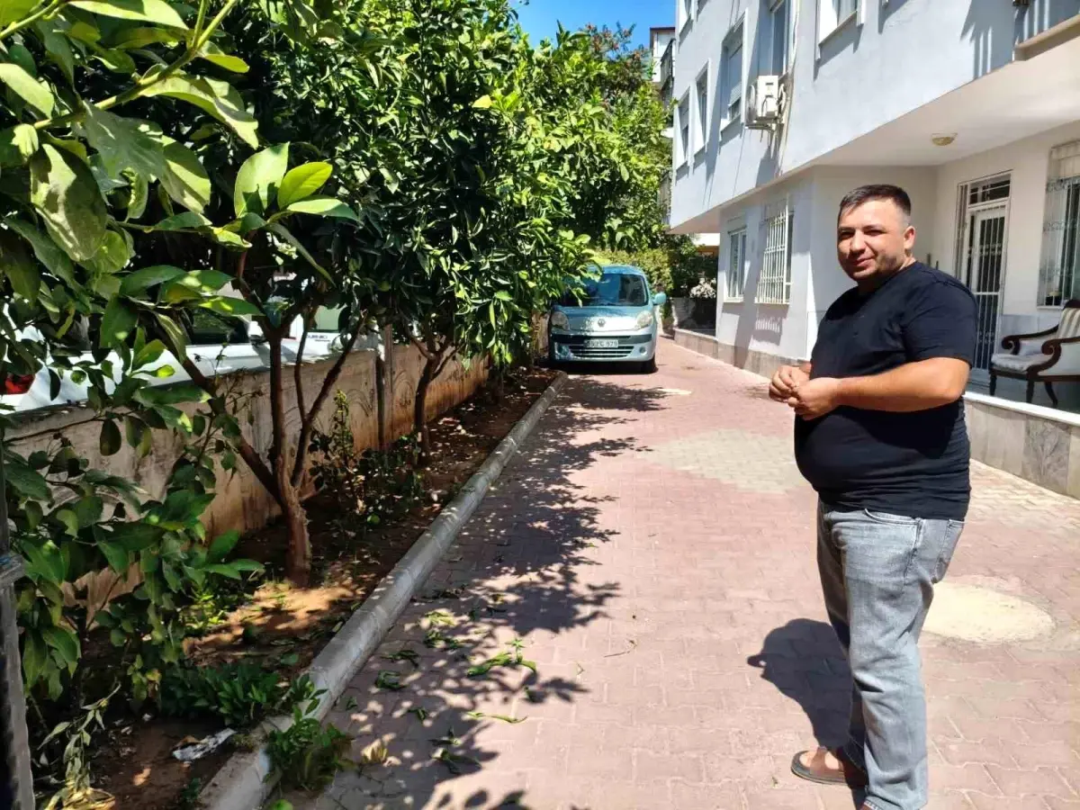 Antalya\'da Portakal Tartışması Kanlı Bitti