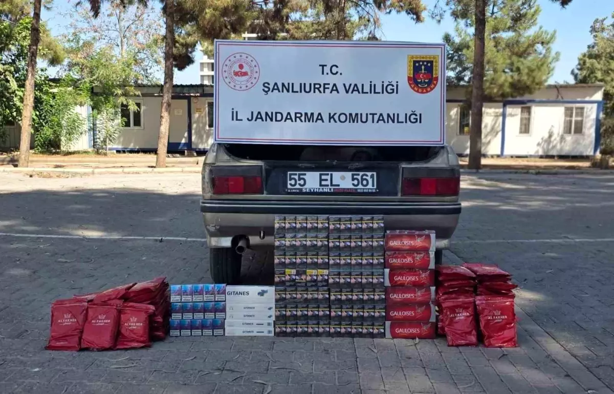 Eyyübiye\'de Kaçak Sigara ve Nargile Tütünü Ele Geçirildi