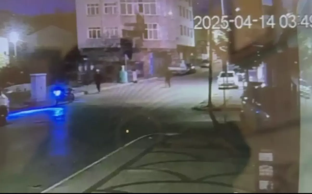 Pendik\'te Molotoflu Kundaklama ve Silahlı Saldırı