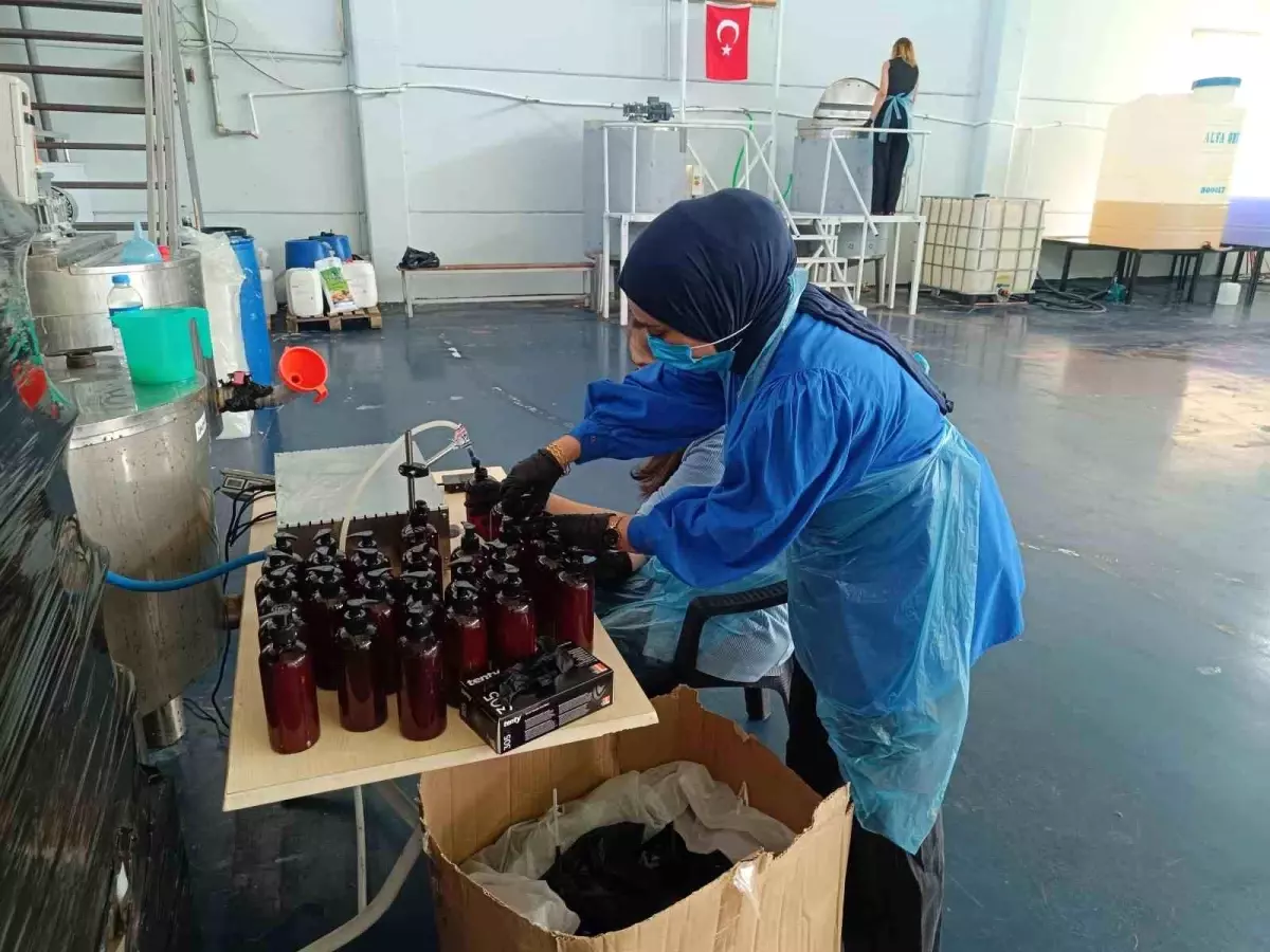Tillo\'da Kadın Kooperatifi ile Temizlik Malzemesi Üretimi