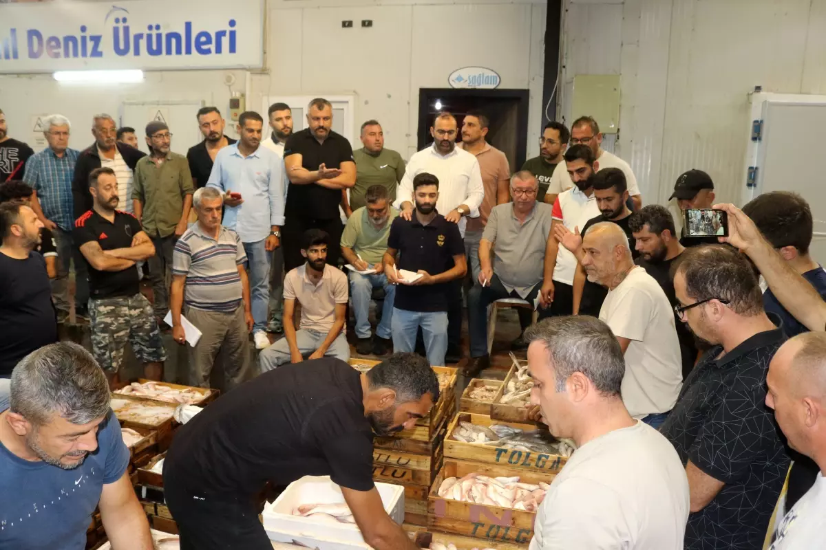 Akdeniz\'de Balık Sezonu Başladı