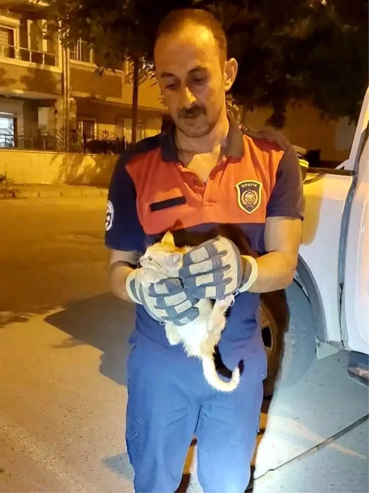 Yavru Kedi İtfaiye Ekipleri Tarafından Kurtarıldı