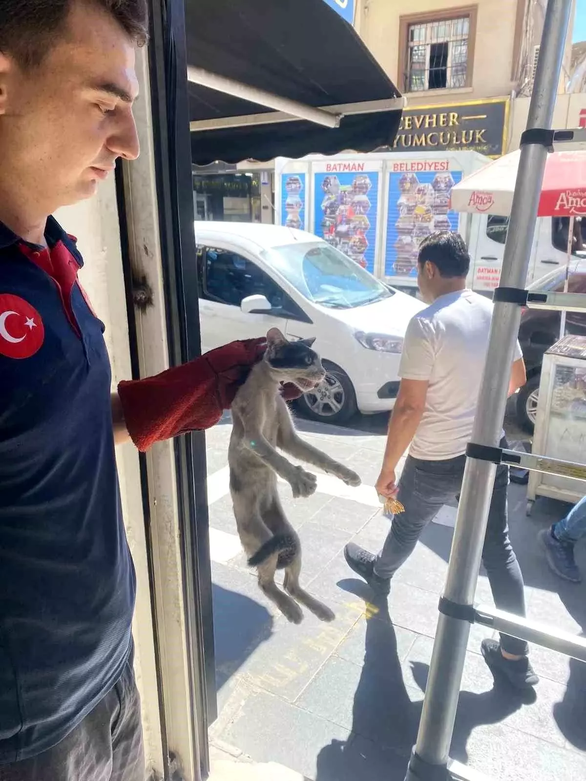 Batman\'da Sıkışan Kedi Kurtarıldı