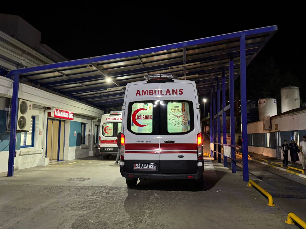 Ordu\'da Bıçaklama Olayı