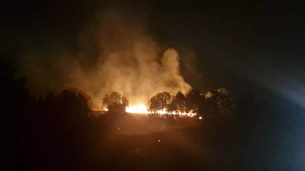 Kuş Göç Yolları Yangınlardan Tehdit Altında