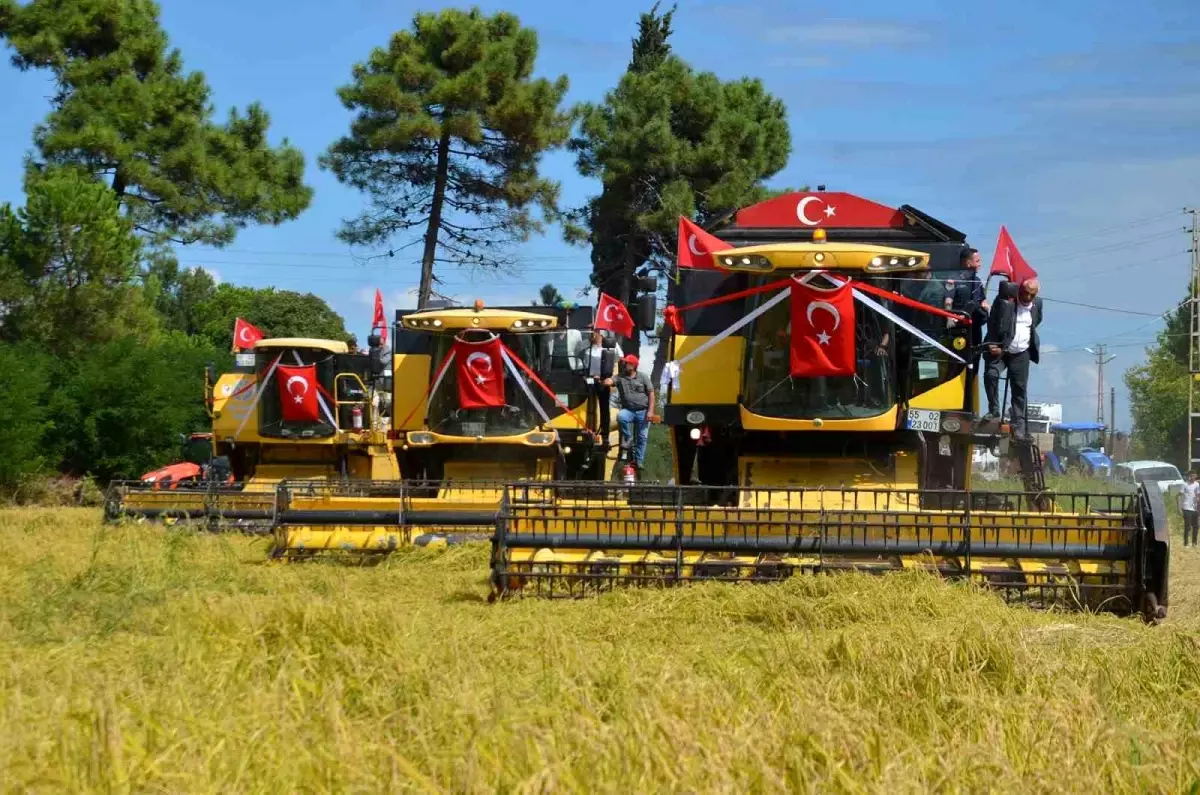Alaçam\'da 1. Çeltik Hasat Günü Etkinliği Düzenlendi