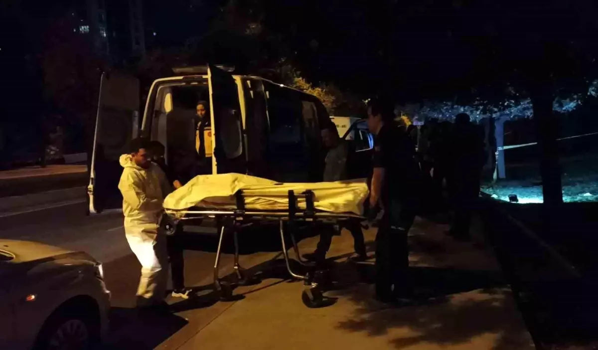 İstanbul\'un göbeğinde korkunç olay! Ağaca asılı bulundu