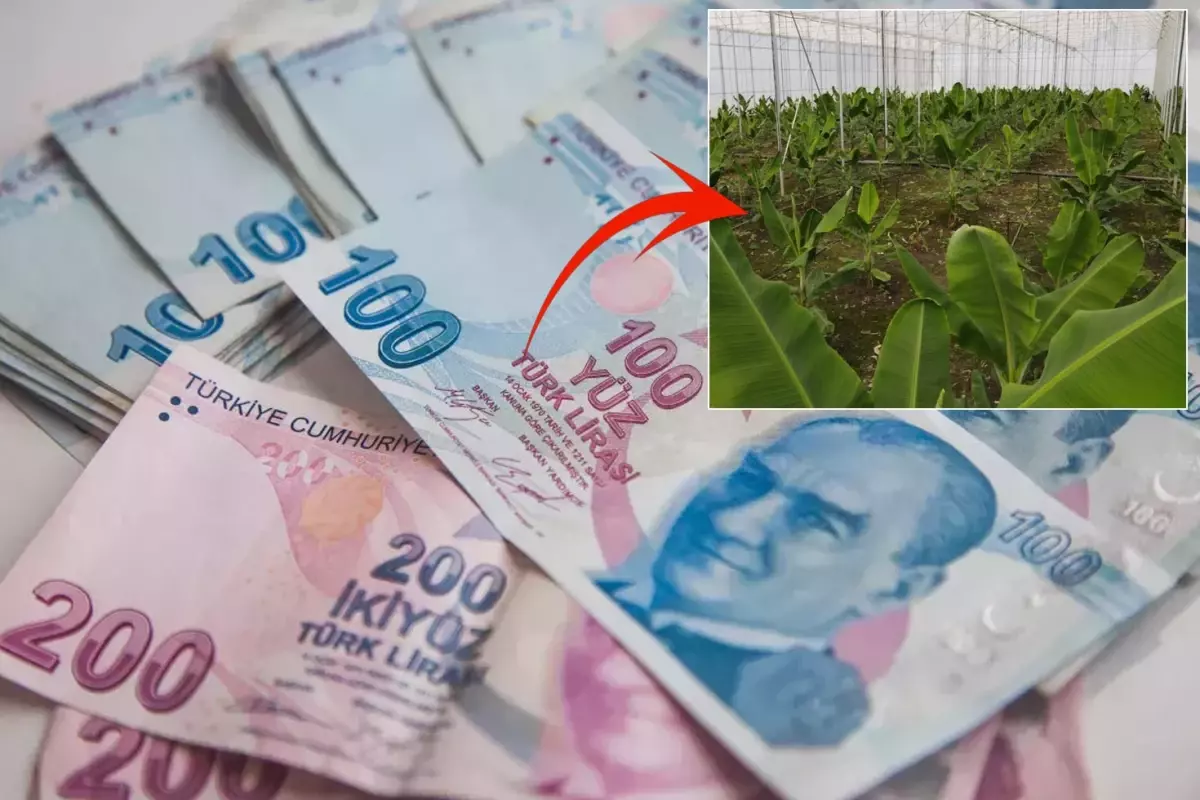 2019\'da çektiği kredi ile hayatı değişti: Aylık 640 bin TL kazanıyorum