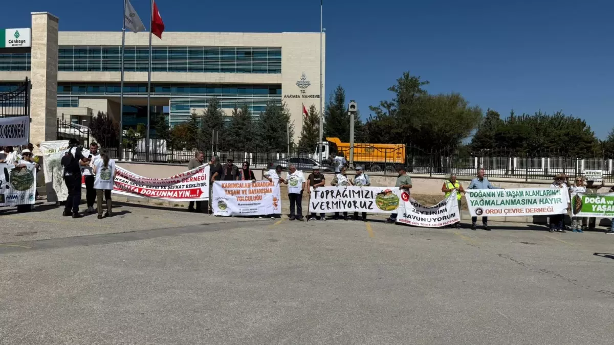CHP, Zeytin Yasası için AYM\'ye Başvurdu