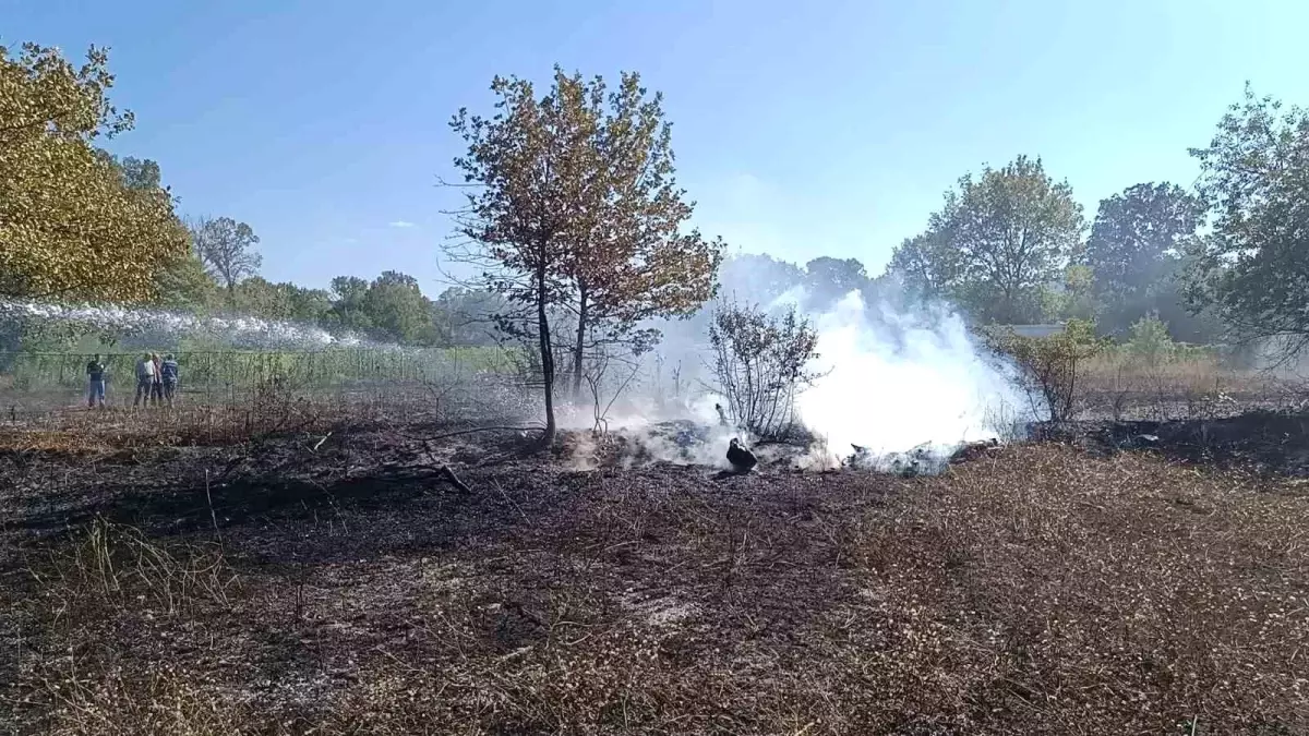 Bilecik\'te Arazi Yangını Hızla Kontrol Altına Alındı