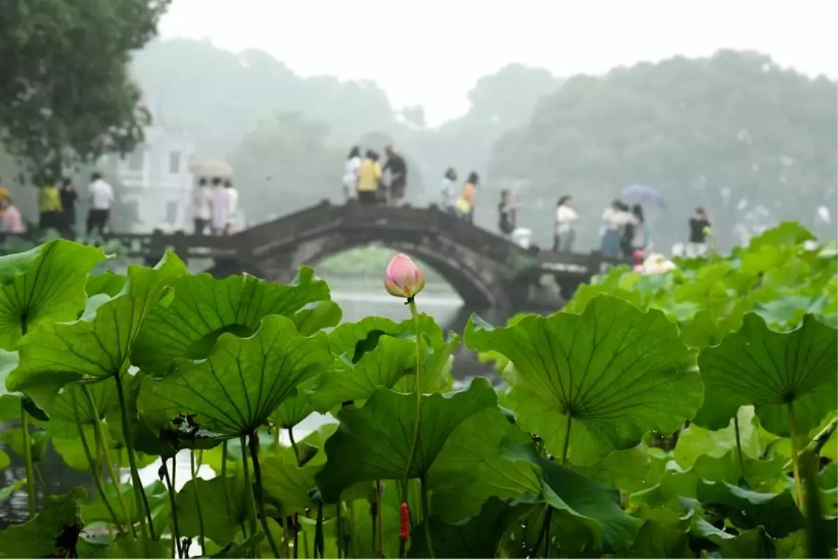 Dünya Biyosfer Rezervleri Kongresi Hangzhou\'da