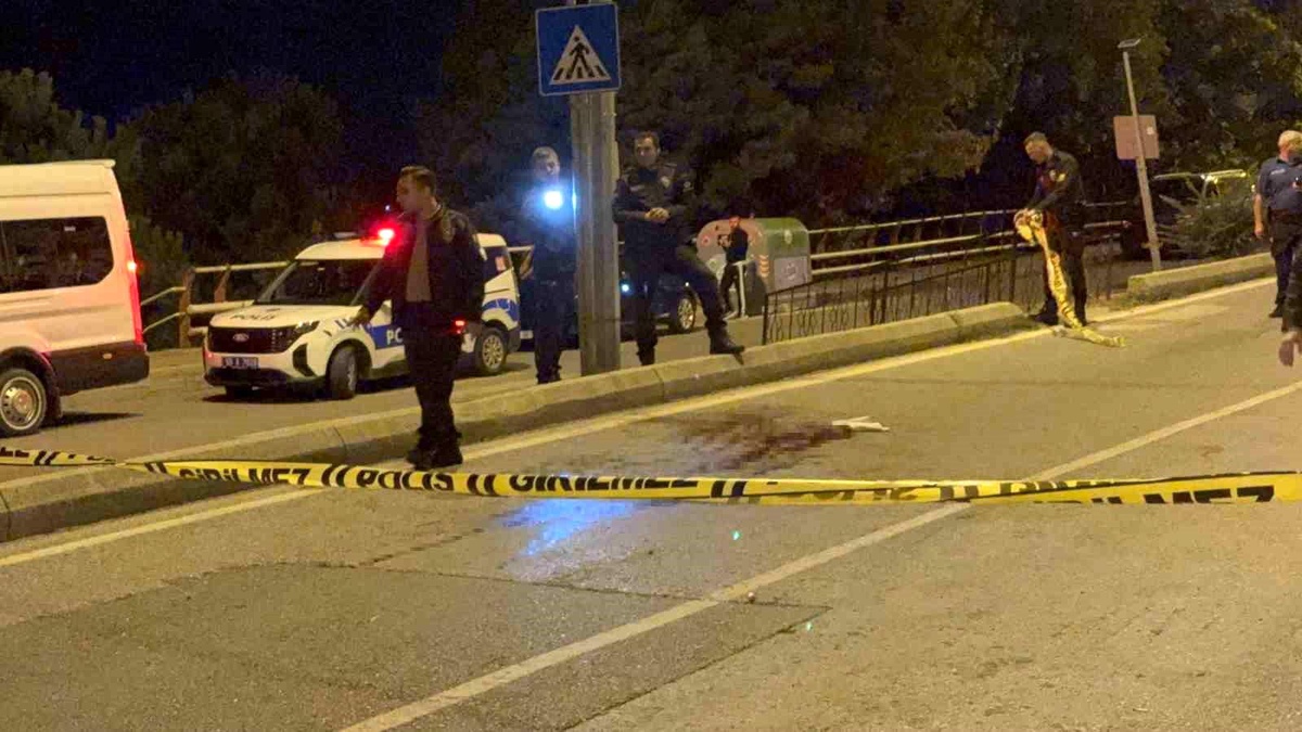 Samsun\'da Pompalı Tüfekli Saldırı: 3 Kardeş Gözaltında