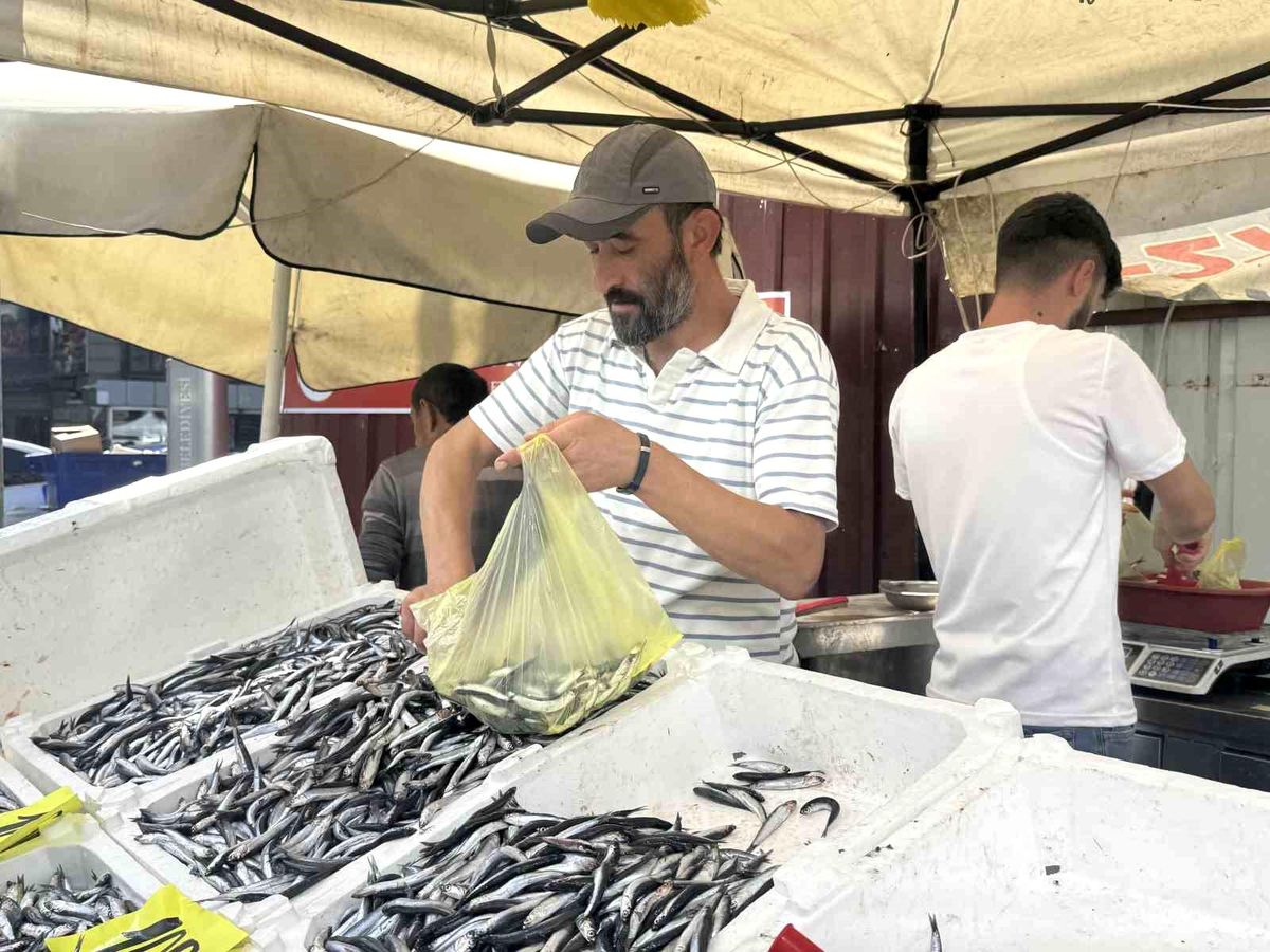 Zonguldak\'ta Hamsi 100 Liradan Satılıyor