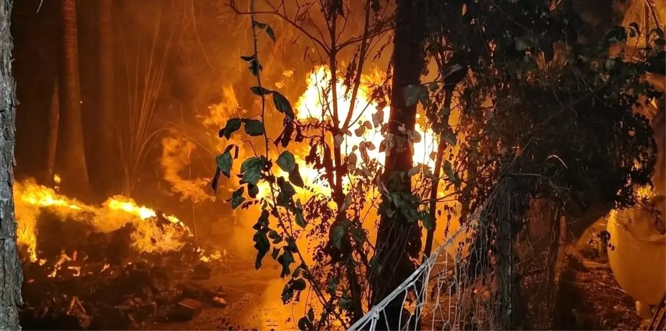 Antalya\'da Sazlık Alanda Yangın Paniği