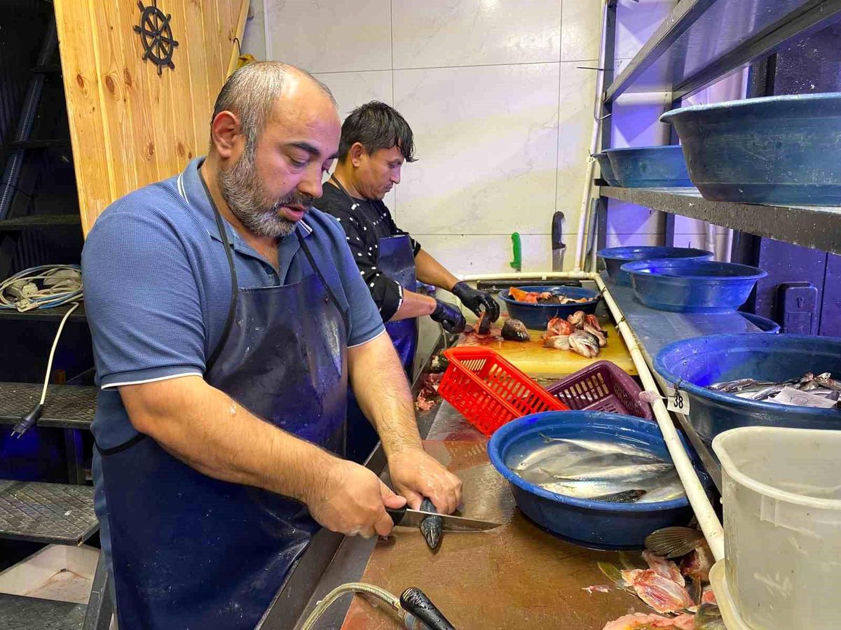 Bu Yıl Bol Balık Sezonu!