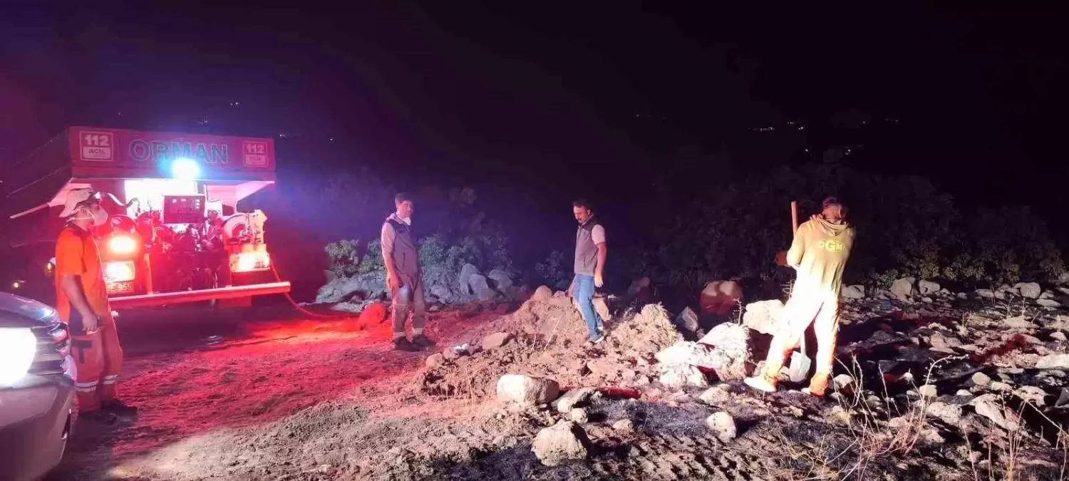 Bingöl\'de Orman Yangını Kontrol Altına Alındı