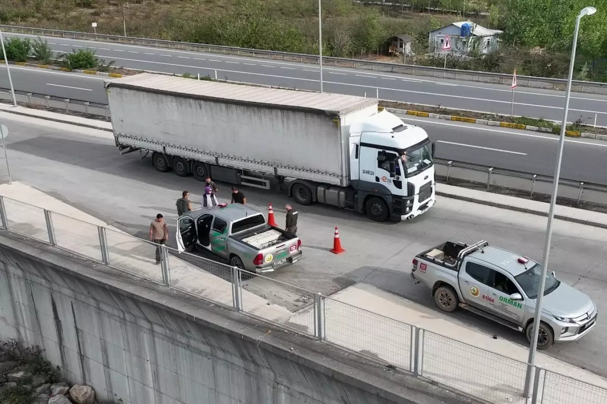 Orman Kontrolleri Artırıldı