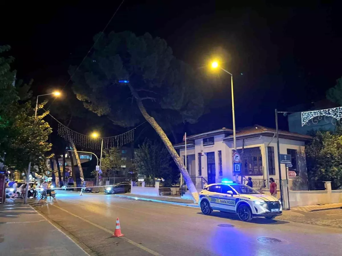 Aydın\'da Kuvvetli Rüzgar Ağaç Devrilmesine Neden Oldu