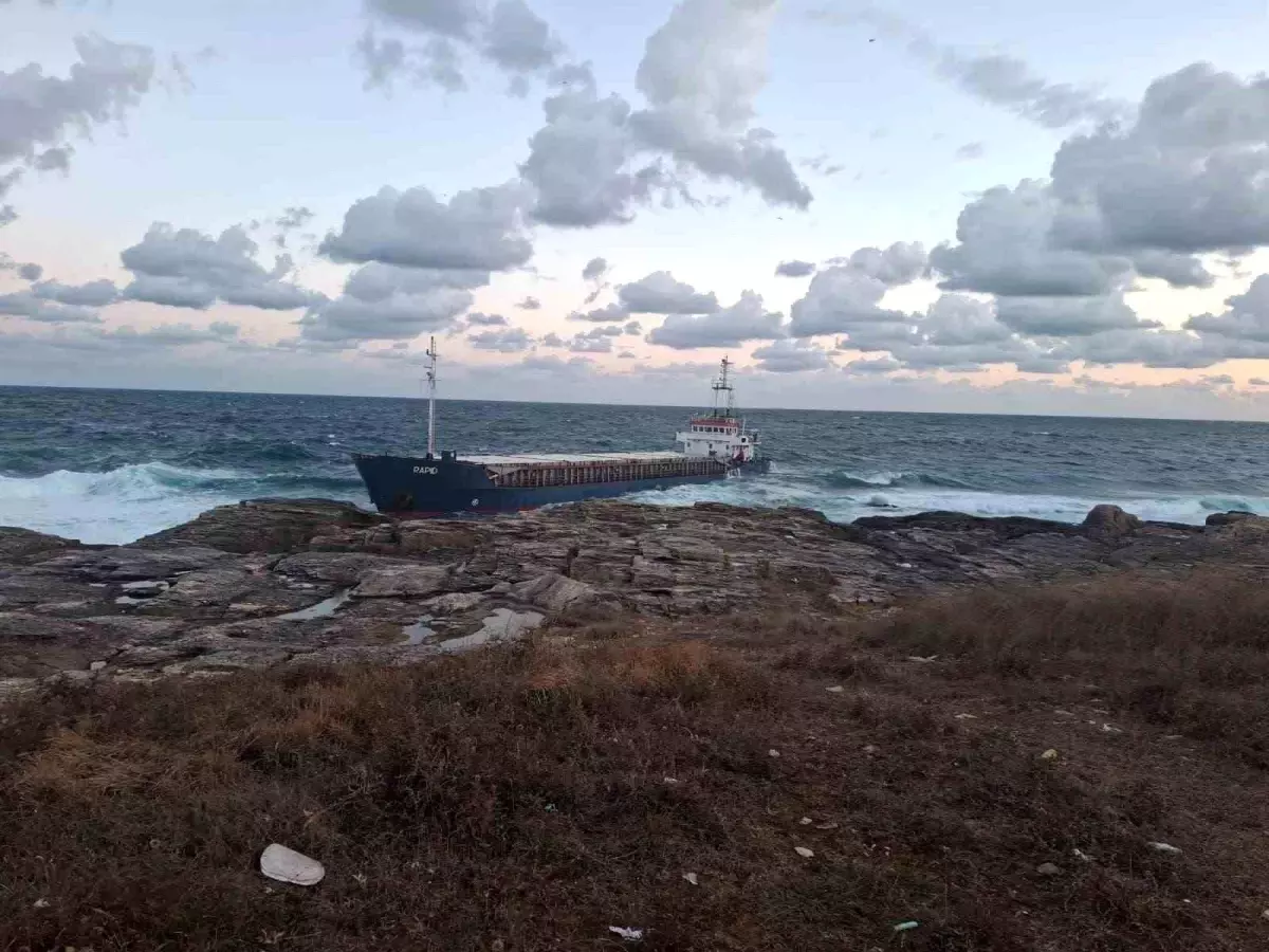 Kocaeli\'de Kuru Yük Gemisi Karaya Oturdu