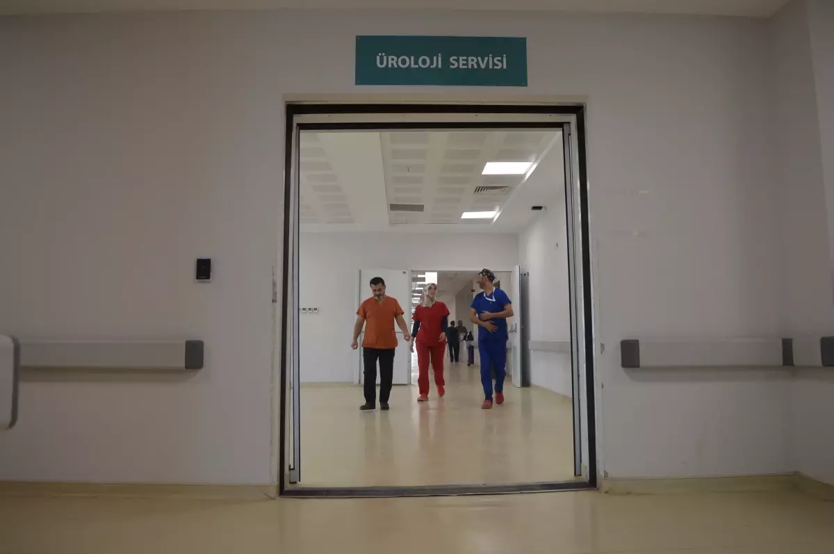 Devasa Böbrek Ameliyatla Alındı