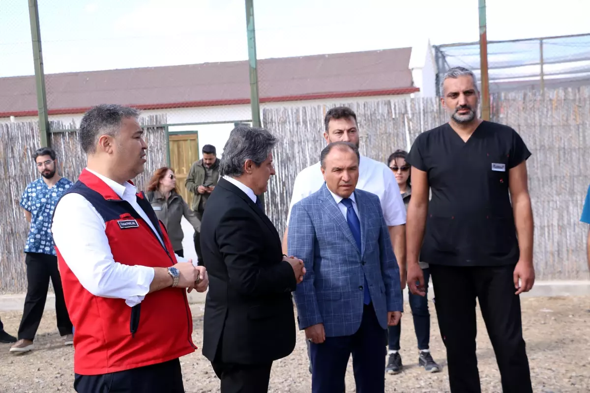 Yaban Hayvanları Doğaya Salındı
