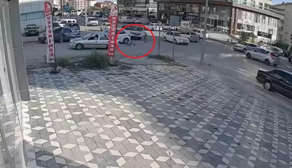 Yol Verme Tartışmasında Yumruklu Kavga