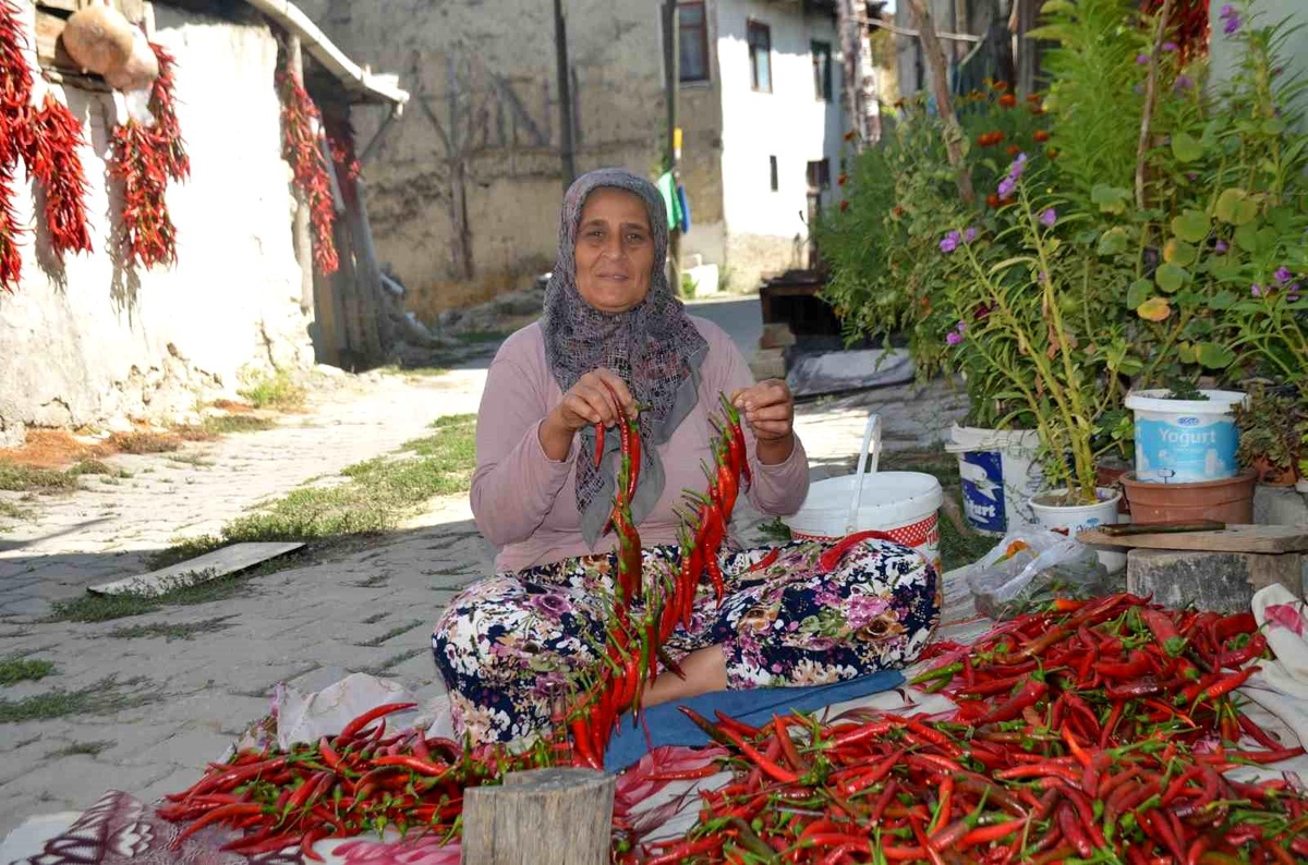Çukurören\'in Kırmızı Altını: 160 Yıllık Biber Üretimi