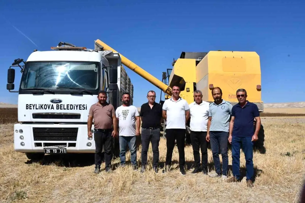 Beylikova\'da Yağlık Ayçiçeği Hasadı Başladı, 4 Milyon TL Ek Gelir Sağlandı